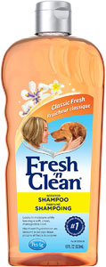 Fresh n Clean Scented Shampoo