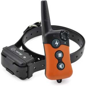 IPETS PET619S Dog Shock Collar with Remote