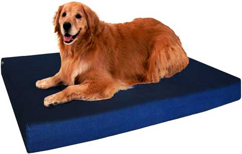 Dogbed4less Premium Memory Foam Dog Bed