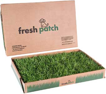 Fresh patch disposable dog potty with real grass