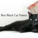 black cat names