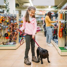 Pet Collars